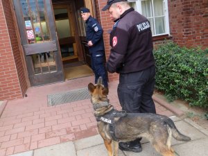 policjanci z psem wchodza do budynku