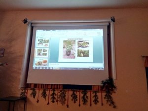prezentacja dotycząca narkotyków