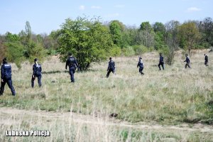 policjanci idą przez pole