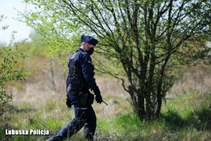 policjant idący przez pole