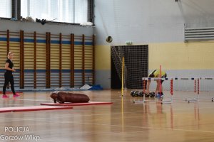 mężcyzzna schyla się po kolejna piłkę lekarską