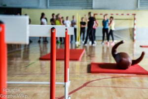 płotki lekkoatletyczne, w tle osoby i leżacy manekin