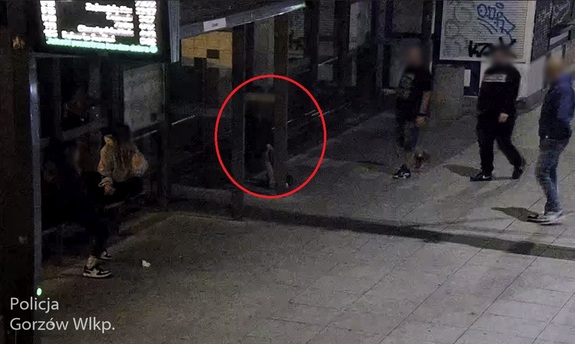 Policjanci szukali zaginionej dziewczynki. Pomógł miejski monitoring