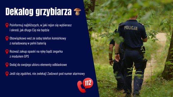 Jak zadbać o swoje bezpieczeństwo podczas grzybobrania?