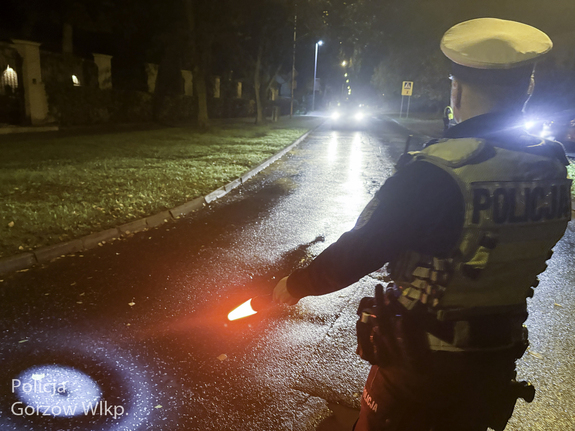 Nietrzeźwy wiózł dwójkę dzieci. Kierowca usłyszał wyrok