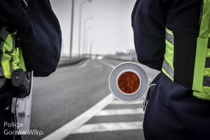 policjanci stojący przy drodze ekspresowej z tarczą do zatrzymywania pojazdów